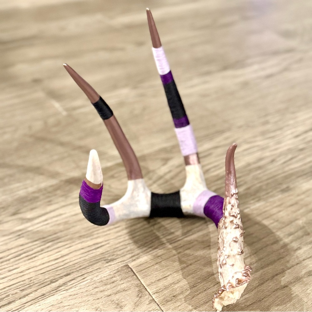 “The Claw” Decorated Antler